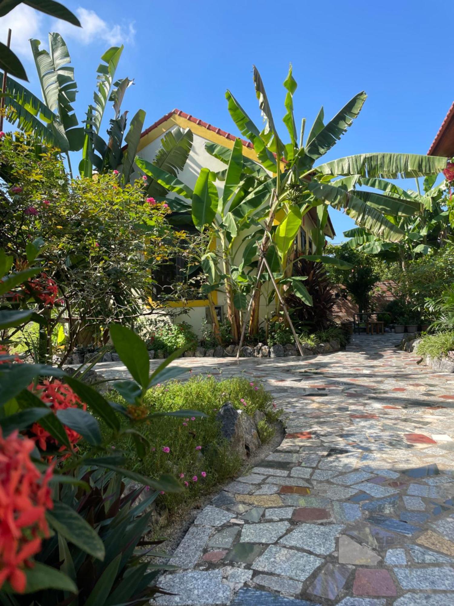 Ninh Binh Royal Homestay Exterior foto